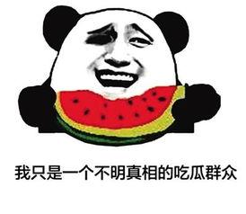 吃瓜群众在线上网,揭秘网络舆论场中的围观力量