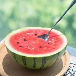 夏季西瓜吃瓜神器,西瓜吃瓜神器，尽享清凉时光