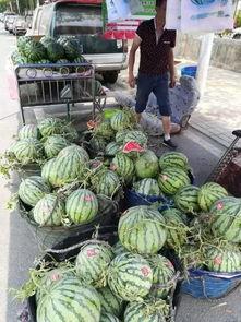 宜良吃瓜事件视频最新,一场引发热议的街头冲突瞬间回顾