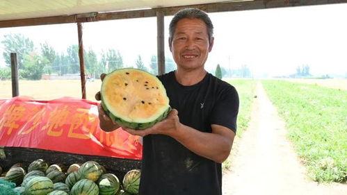 邹平最新吃瓜事件视频,视频揭秘惊人真相