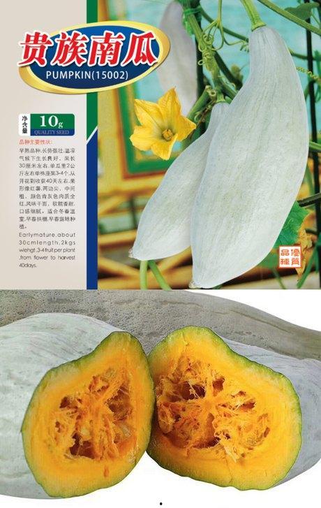 吃新疆丑瓜,独特风味背后的故事与魅力