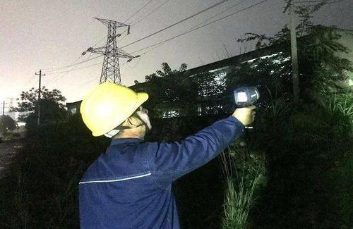 小哥在线吃瓜视频,揭秘娱乐圈幕后真相